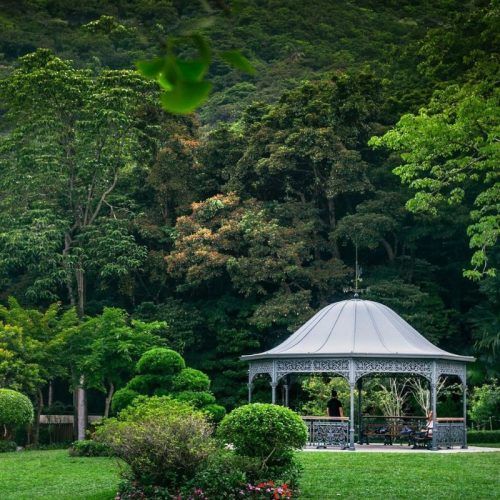 10 Serene Gardens In Hong Kong You Must Visit